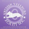 Swedish Vallhund Agility Car Decals