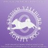 Agility Vallhund with Tail Decal