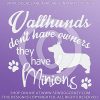 Swedish Vallhund Minions Decal