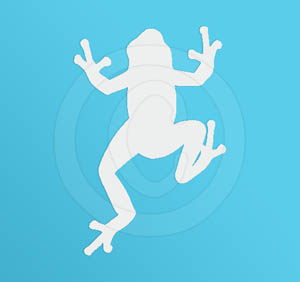 Frog Vinyl Decal for Car
