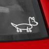 Cute Corgi Decal
