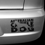 Cattle Dog Car Sticker