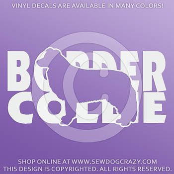Cool Border Collie Vinyl Decals