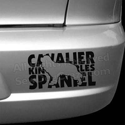 Cavalier King Charles Spaniel Bumper Stickers