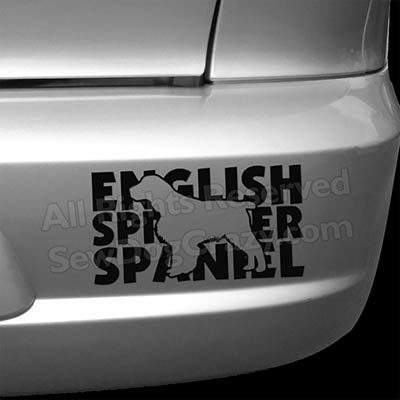 English Springer Spaniel Bumper Stickers