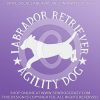 Labrador Agility Decals