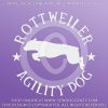 Rottweiler Agility Decals