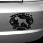 Protected by a Schnauzer Bumper Sticker
