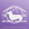 Guarded by a Swedish Vallhund Decal