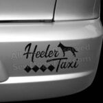 Cattle Dog Taxi Bumper Sticker