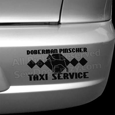 Doberman Taxi Bumper Sticker