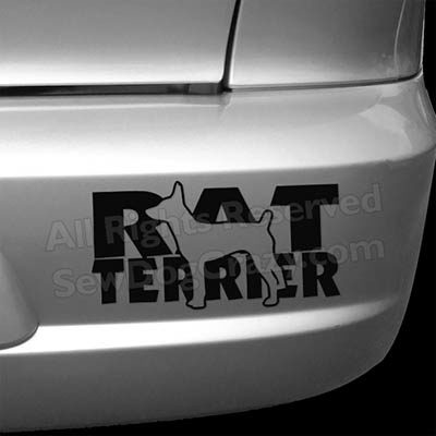 Rat Terrier Bumper Stickers