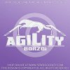 Agility Borzoi Decals