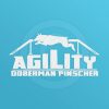 Doberman Pinscher Agility Decals