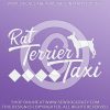 Rat Terrier Taxi Car Decals