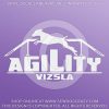 Vizsla Agility Dog Walk Vinyl Sticker