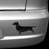 Dachshund Conformation Silhouette Decals