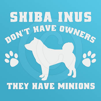 Funny Shiba Inu stickers