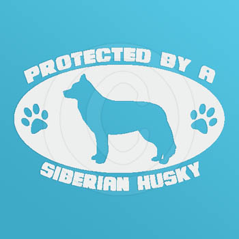 Protected by a Siberian Husky Decal