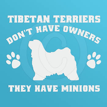 Funny Tibetan Terrier Stickers