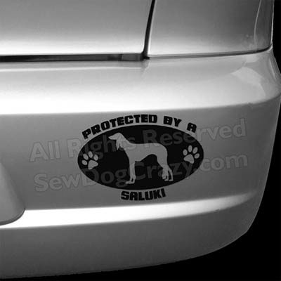 Protected by a Saluki Bumper Stickers