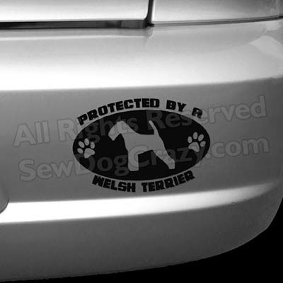 Protected by a Welsh Terrier Bumper Stickers