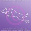 Jumping Border Collie Decal