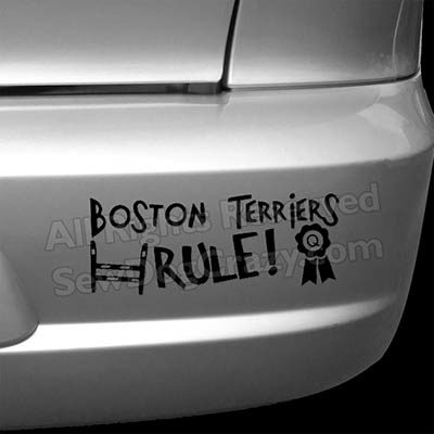 Boston Terriers Rule Car Decals