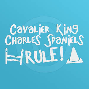 Agility Cavalier King Charles Spaniel Sticker