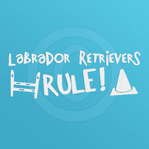 Labrador Retriever Agility Stickers