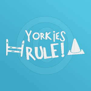 Yorkies Rule Vinyl Decals