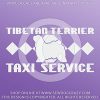 Tibetan Terrier Taxi Decals