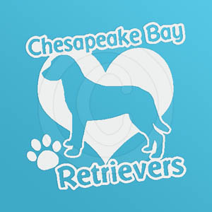 I Love Chesapeake Bay Retrievers Vinyl Stickers