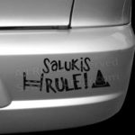 Salukis Rule Dog Sports Bumper Stickers