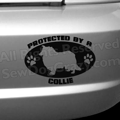 Protected by a Collie Bumper Sticker