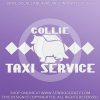 Collie Taxi Window Sticker