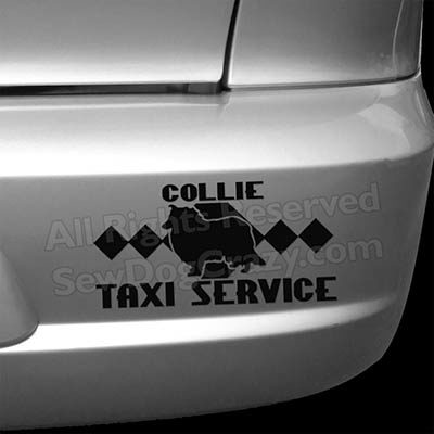 Collie Taxi Bumper Sticker