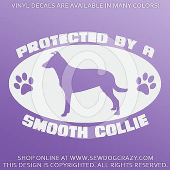 Protected by a Smooth Collie Vinyl Window Stickers