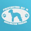 Protected by a Bedlington Terrier Decal