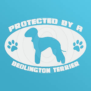 Protected by a Bedlington Terrier Decal