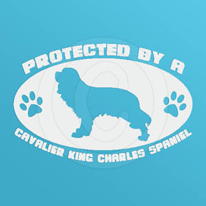 Protected by a Cavalier King Charles Spaniel Decal
