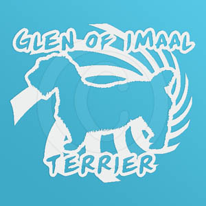 Spiral Glen of Imaal Terrier Decal