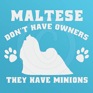 Funny Maltese Decals