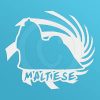 Spiral Maltese Decals