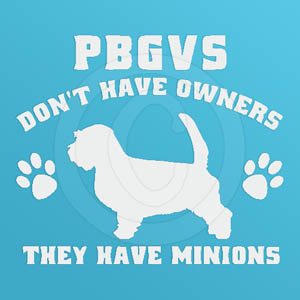 Funny PBGV Decal