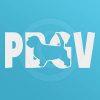 Cool PBGV Decal
