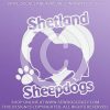 Love Shetland Sheepdogs Decals