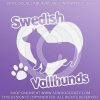 Love Vallhunds Car Decals