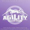 Beauceron Agility Decals