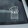 Chessie Decal